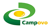 Campovo